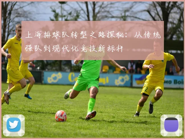 上海排球队转型之路探秘：从传统强队到现代化竞技新标杆