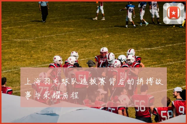 上海羽毛球队选拔赛背后的拼搏故事与荣耀历程