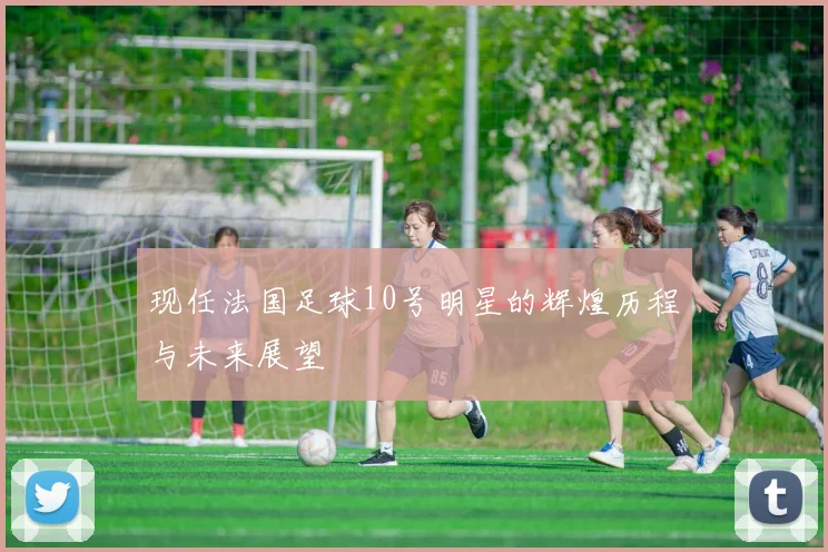 现任法国足球10号明星的辉煌历程与未来展望