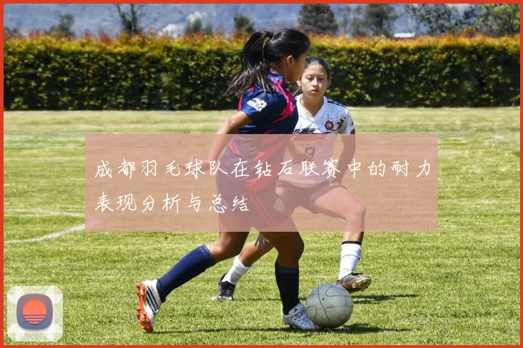 成都羽毛球队在钻石联赛中的耐力表现分析与总结