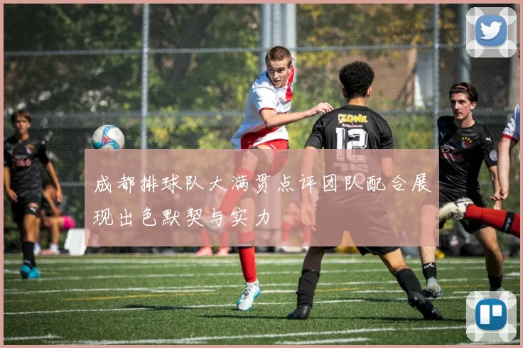 成都排球队大满贯点评团队配合展现出色默契与实力