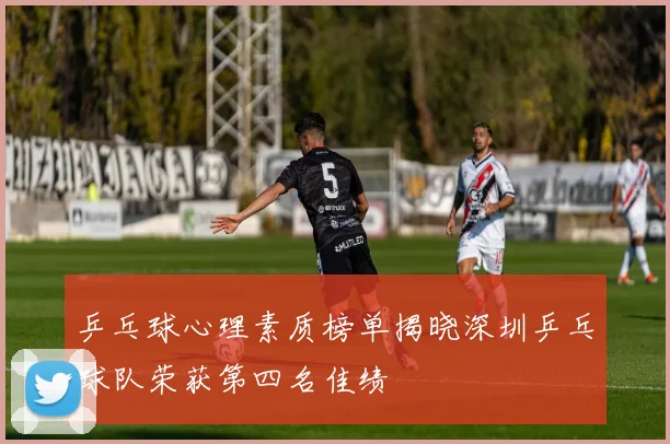 乒乓球心理素质榜单揭晓深圳乒乓球队荣获第四名佳绩