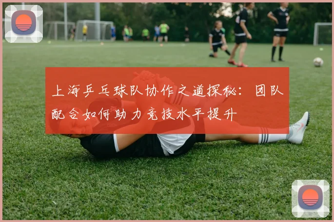 上海乒乓球队协作之道探秘：团队配合如何助力竞技水平提升