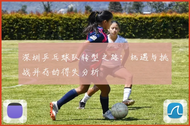 深圳乒乓球队转型之路：机遇与挑战并存的得失分析
