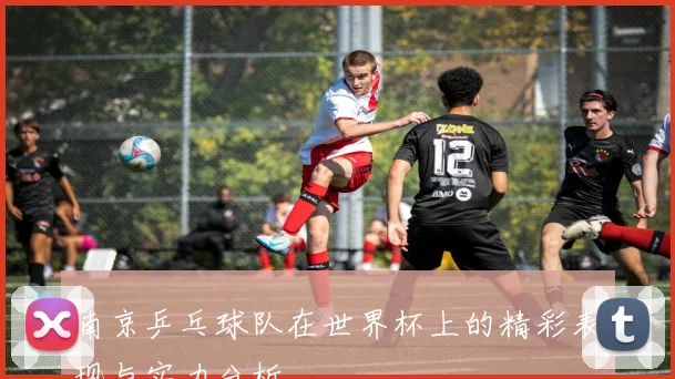 南京乒乓球队在世界杯上的精彩表现与实力分析