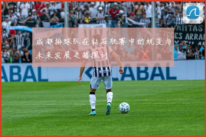 成都排球队在钻石联赛中的蜕变与未来发展之路探讨