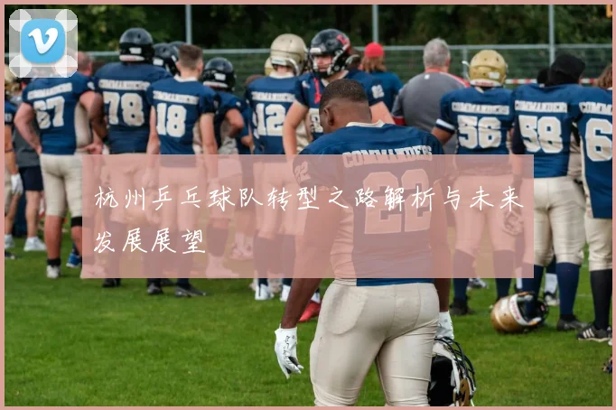杭州乒乓球队转型之路解析与未来发展展望