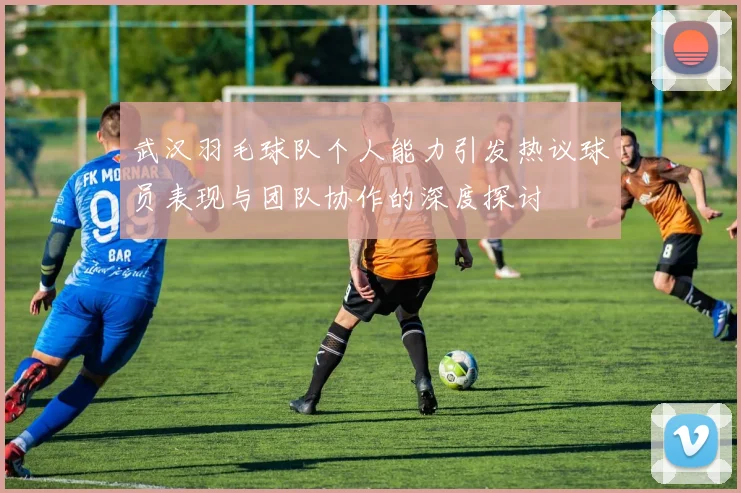 武汉羽毛球队个人能力引发热议球员表现与团队协作的深度探讨