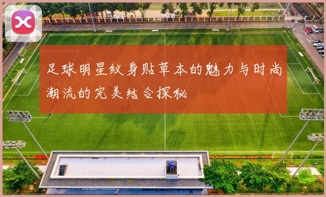 足球明星纹身贴草本的魅力与时尚潮流的完美结合探秘