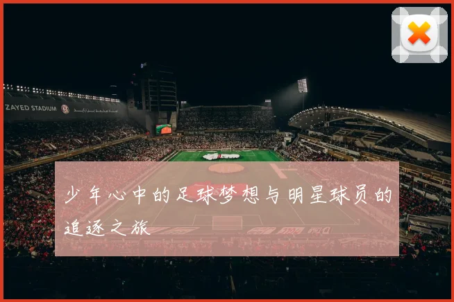 少年心中的足球梦想与明星球员的追逐之旅