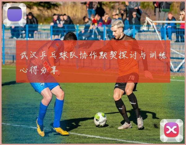 武汉乒乓球队协作默契探讨与训练心得分享