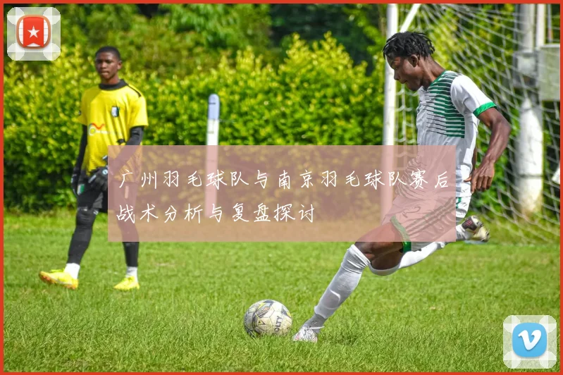 广州羽毛球队与南京羽毛球队赛后战术分析与复盘探讨
