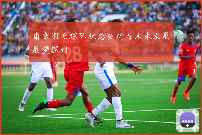南京羽毛球队状态分析与未来发展展望探讨