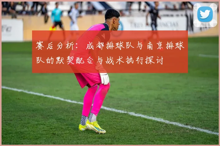 赛后分析：成都排球队与南京排球队的默契配合与战术执行探讨