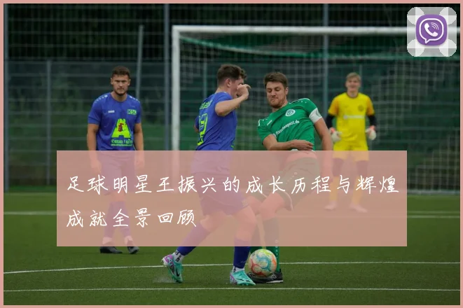 足球明星王振兴的成长历程与辉煌成就全景回顾