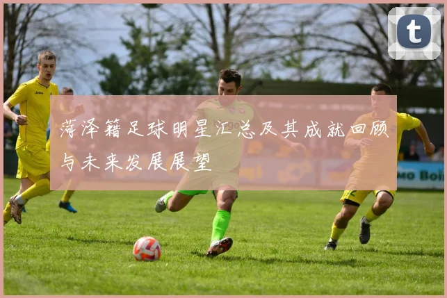 菏泽籍足球明星汇总及其成就回顾与未来发展展望