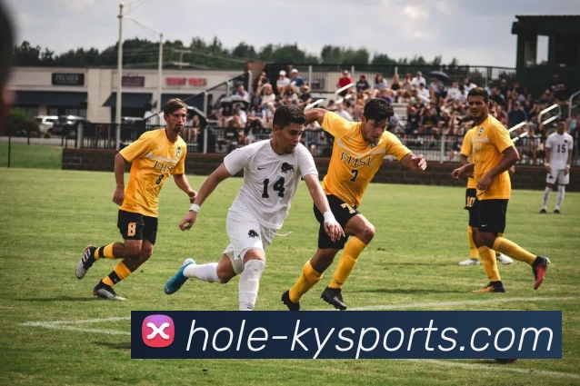 开云平台生态图